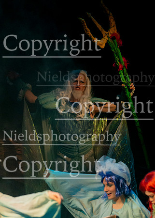 Little_Mermaid_310
