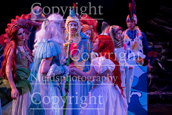 Little_Mermaid_590
