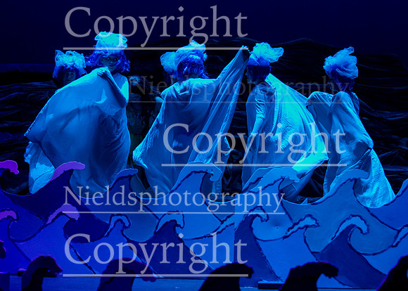 Little_Mermaid_435