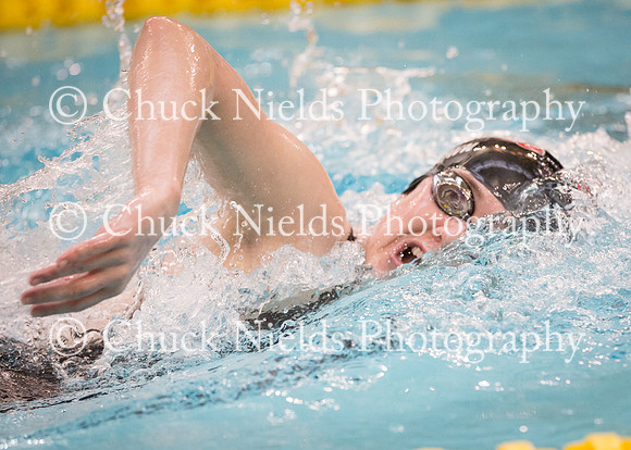 State Swimming_127