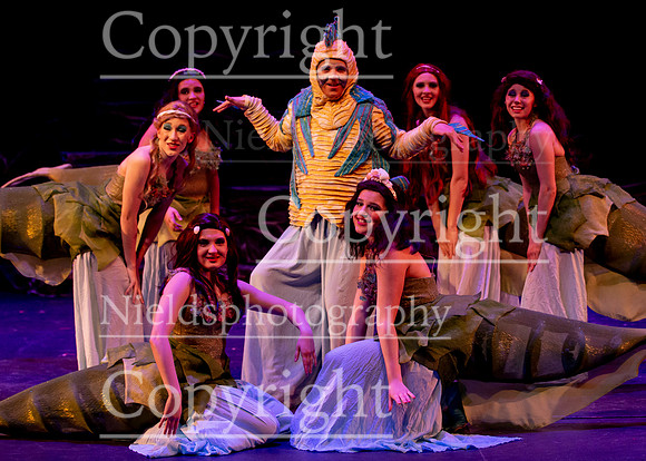 Little_Mermaid_331