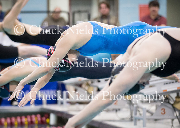 State Swimming_355