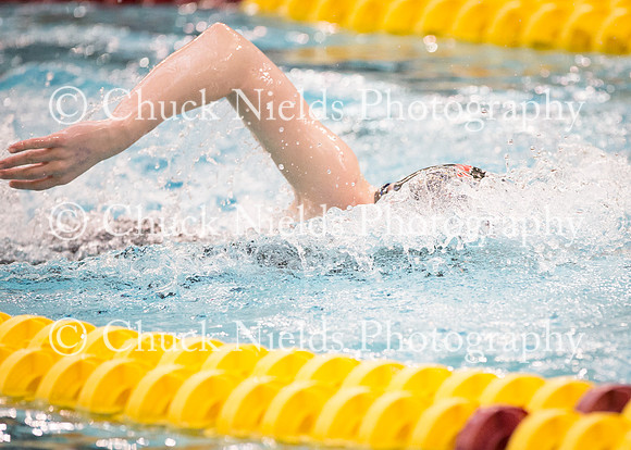 State Swimming_123