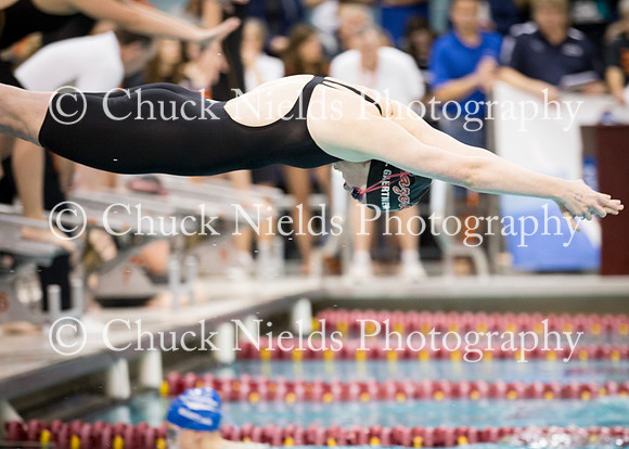 State Swimming_311