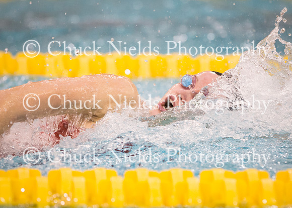 State Swimming_057
