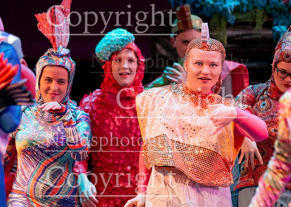 Little_Mermaid_371
