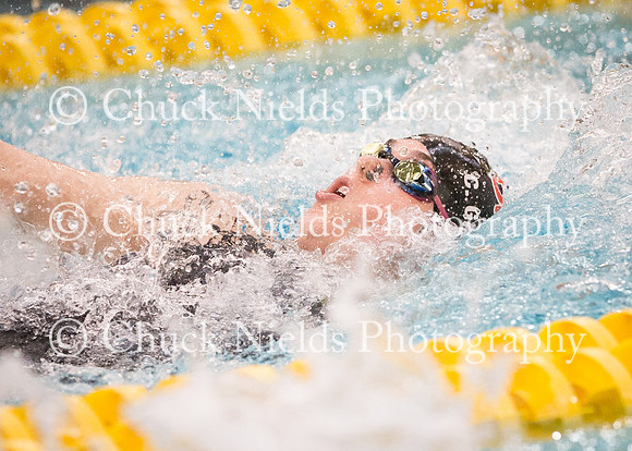 State Swimming_101