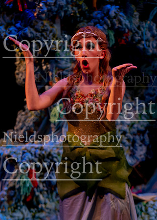 Little_Mermaid_327