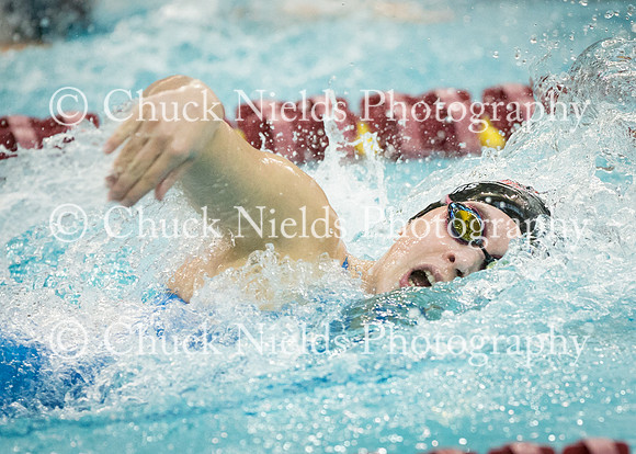State Swimming_186