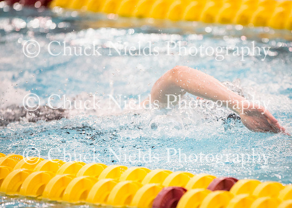 State Swimming_125