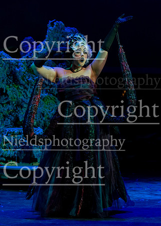 Little_Mermaid_431