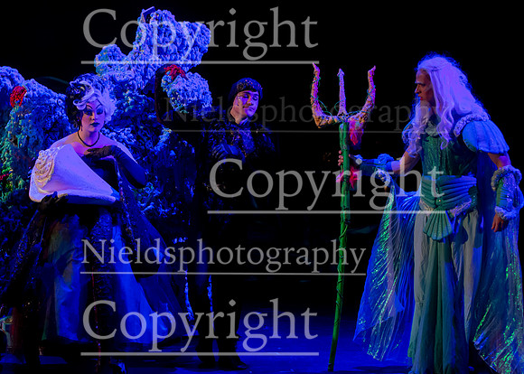 Little_Mermaid_567