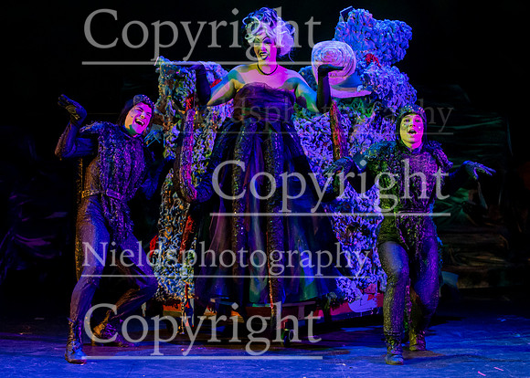 Little_Mermaid_522