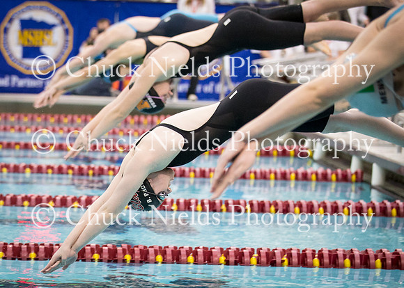 State Swimming_317