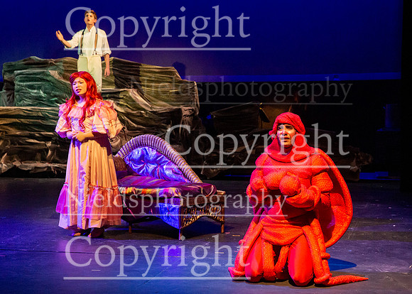 Little_Mermaid_179