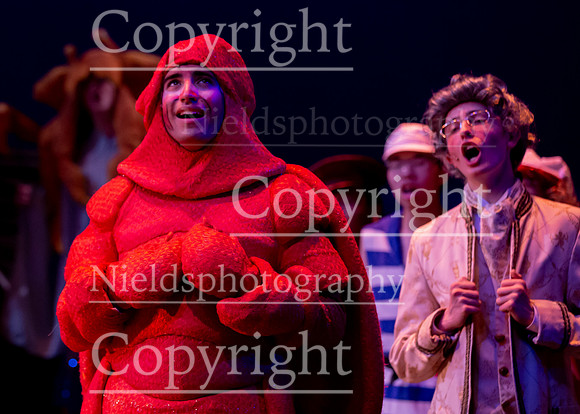 Little_Mermaid_599