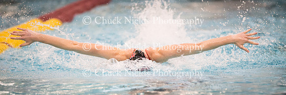 State Swimming_140
