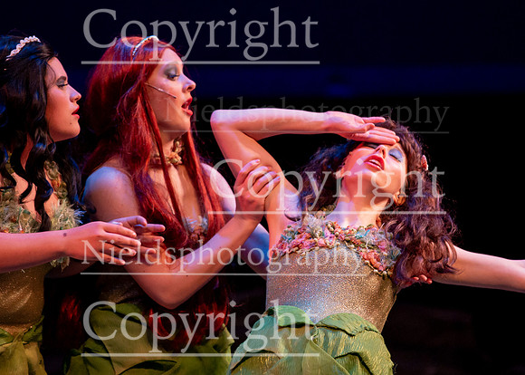 Little_Mermaid_338