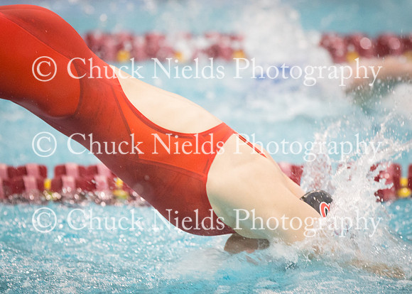State Swimming_250