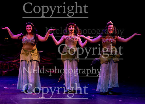Little_Mermaid_330