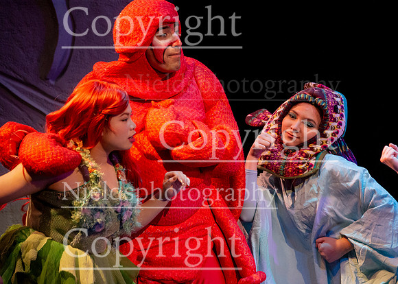 Little_Mermaid_355