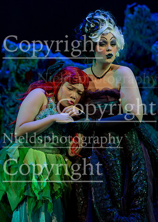 Little_Mermaid_430