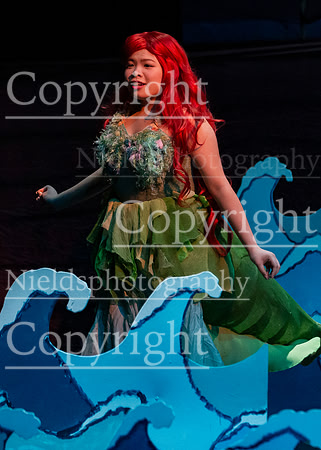 Little_Mermaid_213