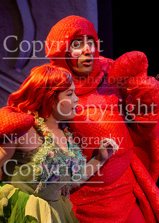 Little_Mermaid_356