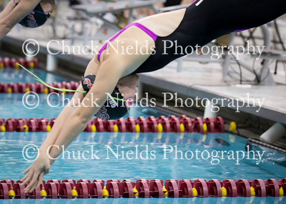 State Swimming_364
