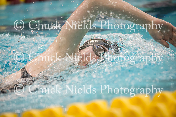 State Swimming_218