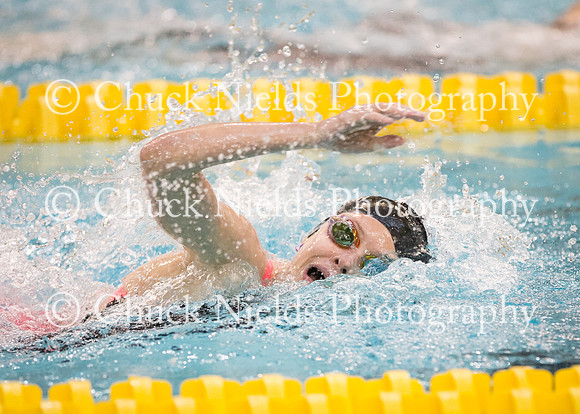 State Swimming_230