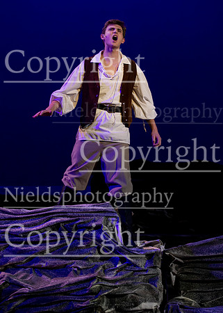 Little_Mermaid_345