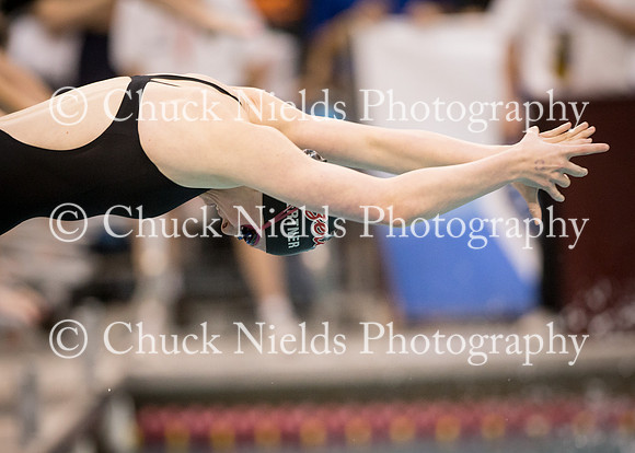 State Swimming_241