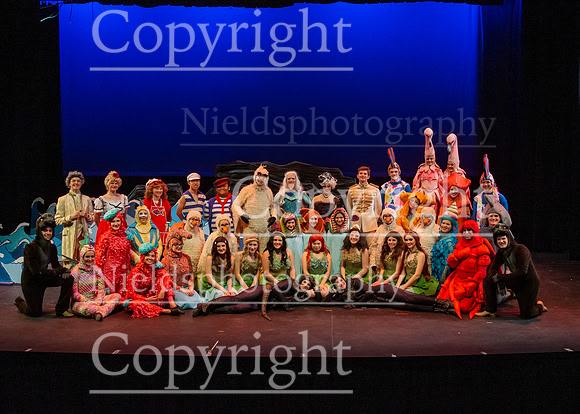 Little_Mermaid_210