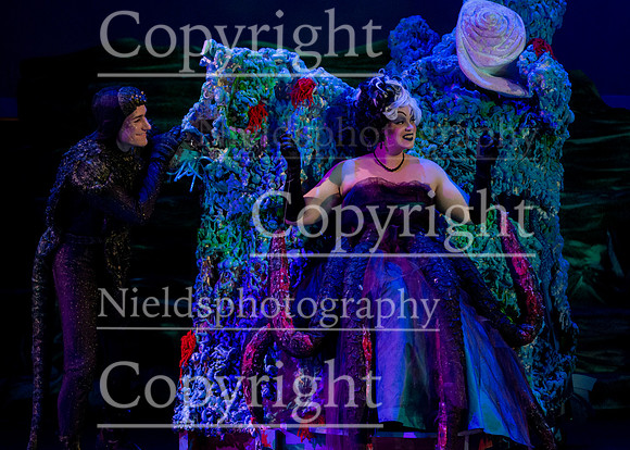 Little_Mermaid_407