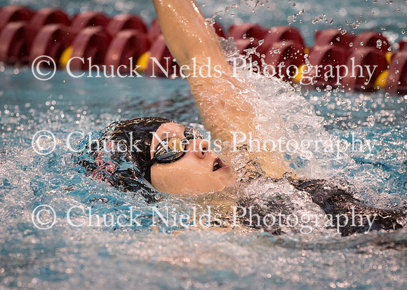 State Swimming_023