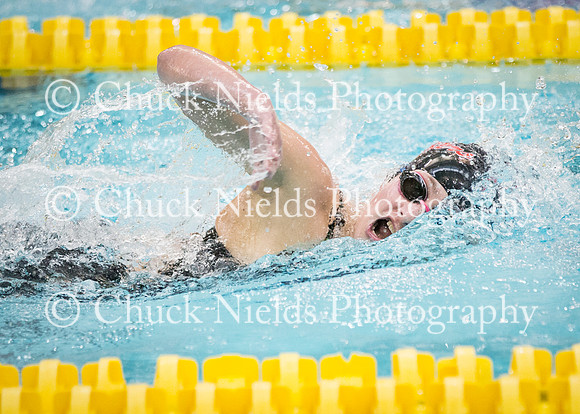 State Swimming_367