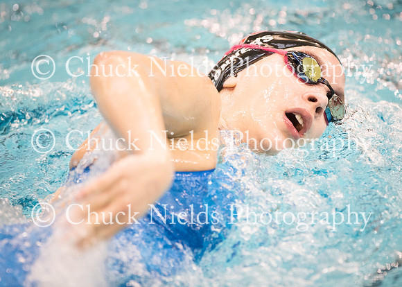 State Swimming_163