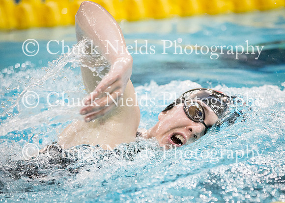 State Swimming_372