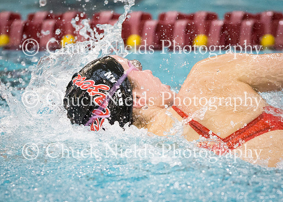 State Swimming_191