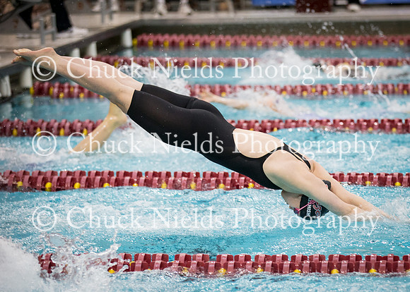 State Swimming_310