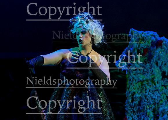 Little_Mermaid_427