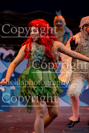 Little_Mermaid_456