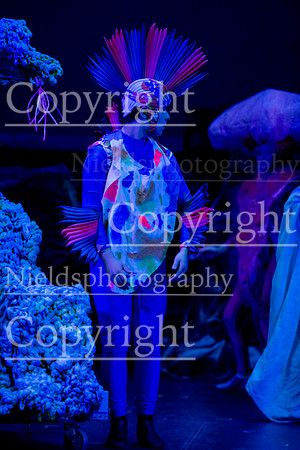 Little_Mermaid_238