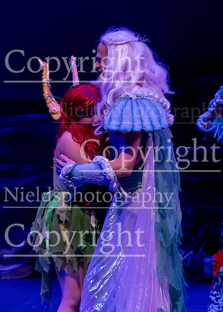 Little_Mermaid_581