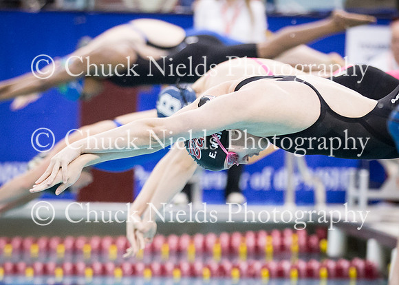 State Swimming_352