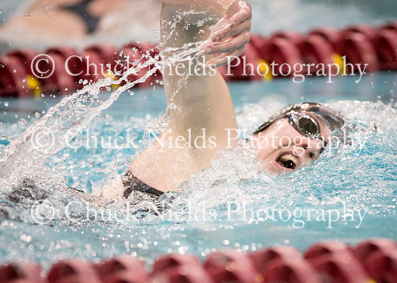 State Swimming_129
