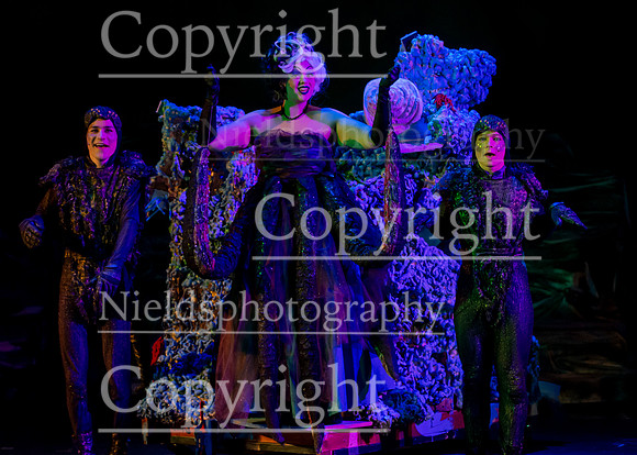 Little_Mermaid_521