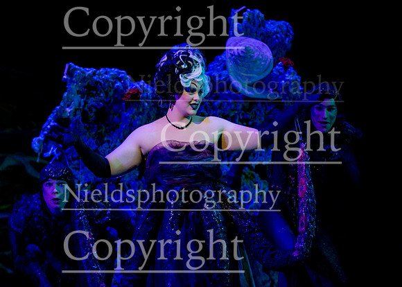 Little_Mermaid_293