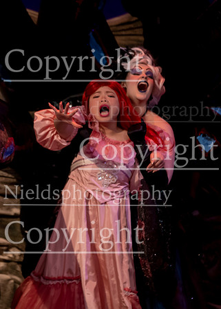 Little_Mermaid_566